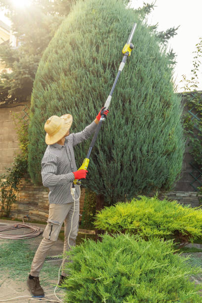 Best Lawn Irrigation Installation and Maintenance  in Payne, OH